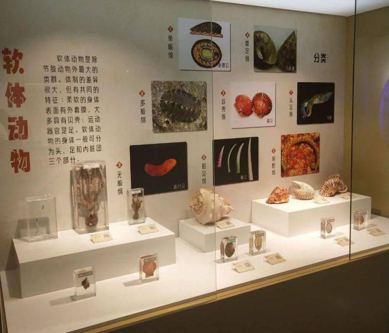 標本展覽館